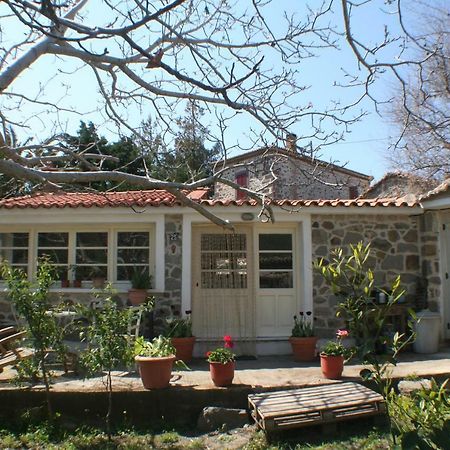 Hotel Arcadia Eressos Exterior foto