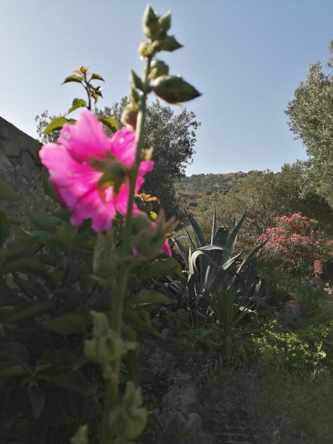 Hotel Arcadia Eressos Exterior foto