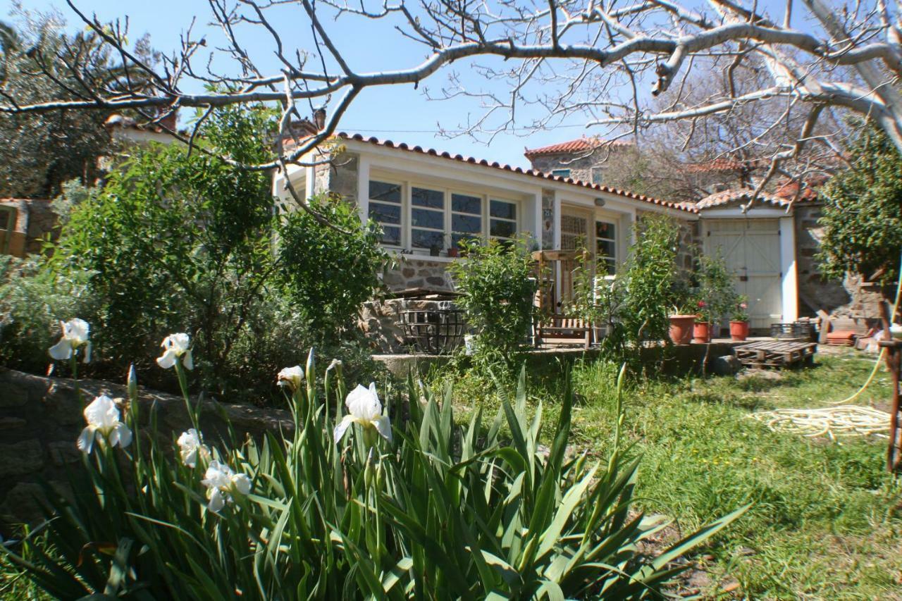 Hotel Arcadia Eressos Exterior foto